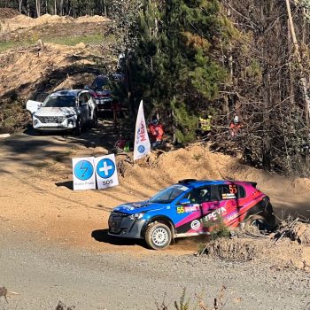 wrc rally